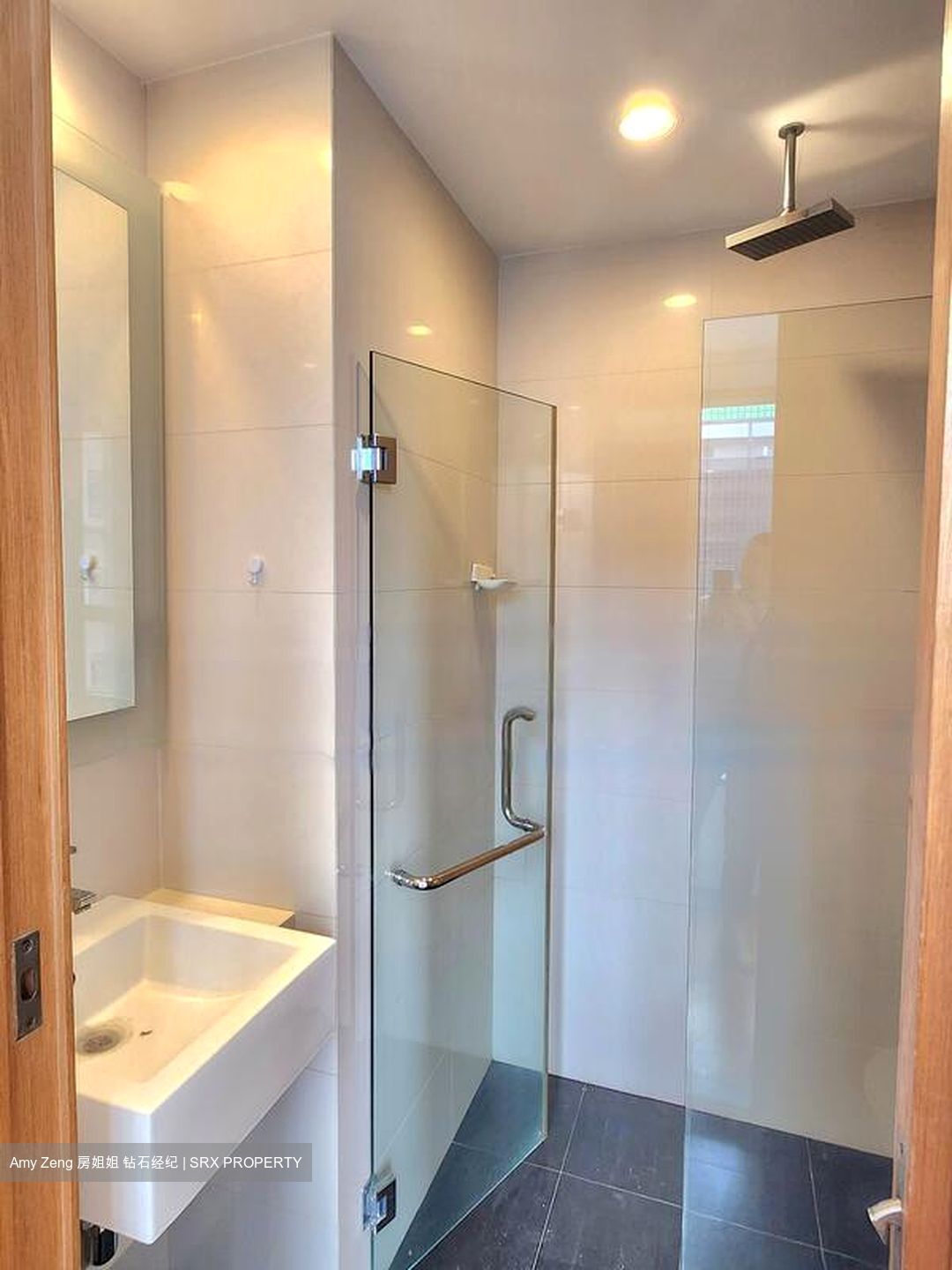 Lumiere (D2), Apartment #459935981